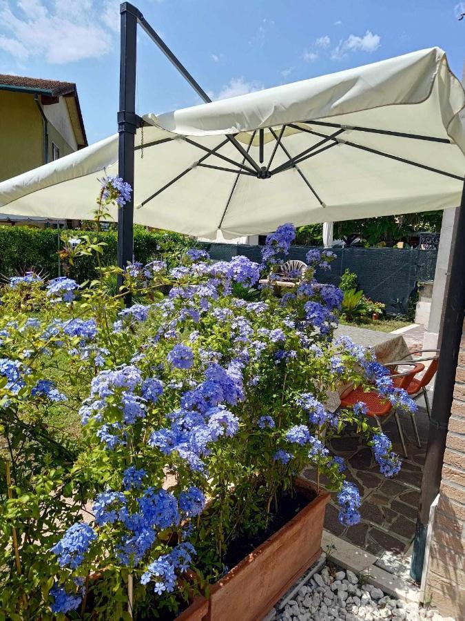 Bertos House Tra Mare E Laguna Cavallino-Treporti Kültér fotó